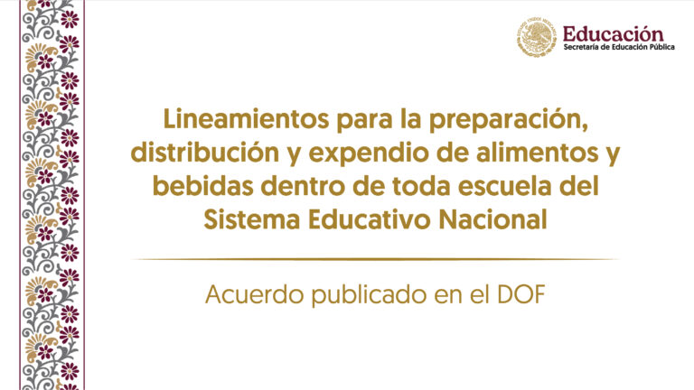 Lineamientos para la preparación, distribución y expendio de alimentos y bebidas dentro de toda escuela del Sistema Educativo Nacional
